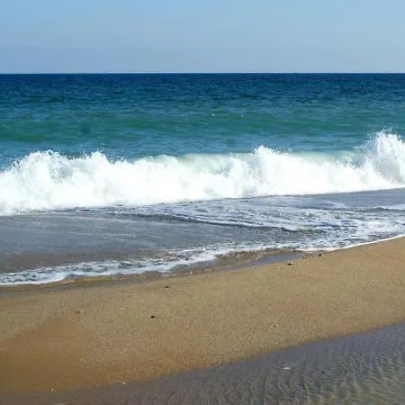 Silver Beach Byala B101 *